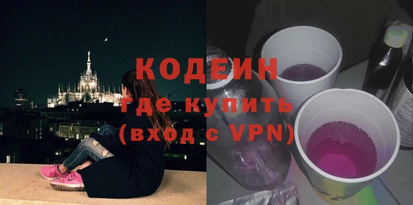 молекула духа Арсеньев