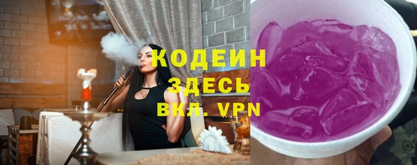 молекула духа Арсеньев