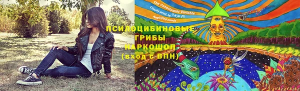крисы Баксан