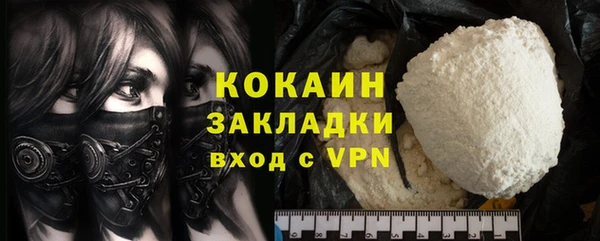 крисы Баксан